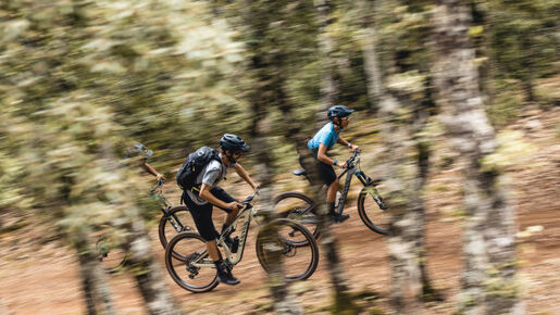 Canyon Neuron 6 SRAM NX Eagle 41