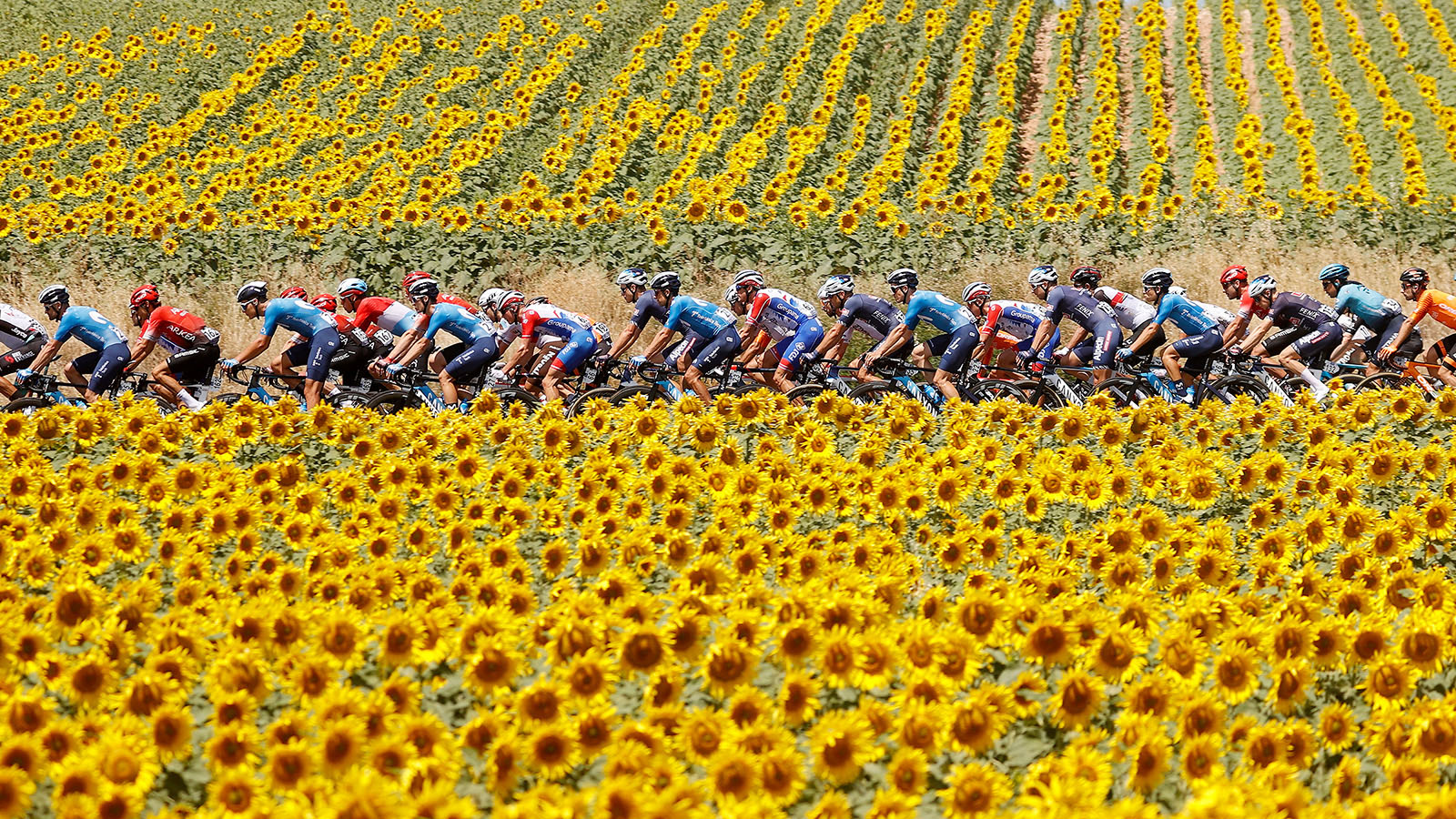 La Vuelta A España 2022 La Vuelta a España 2022: Route, Stages, TV | CANYON PT