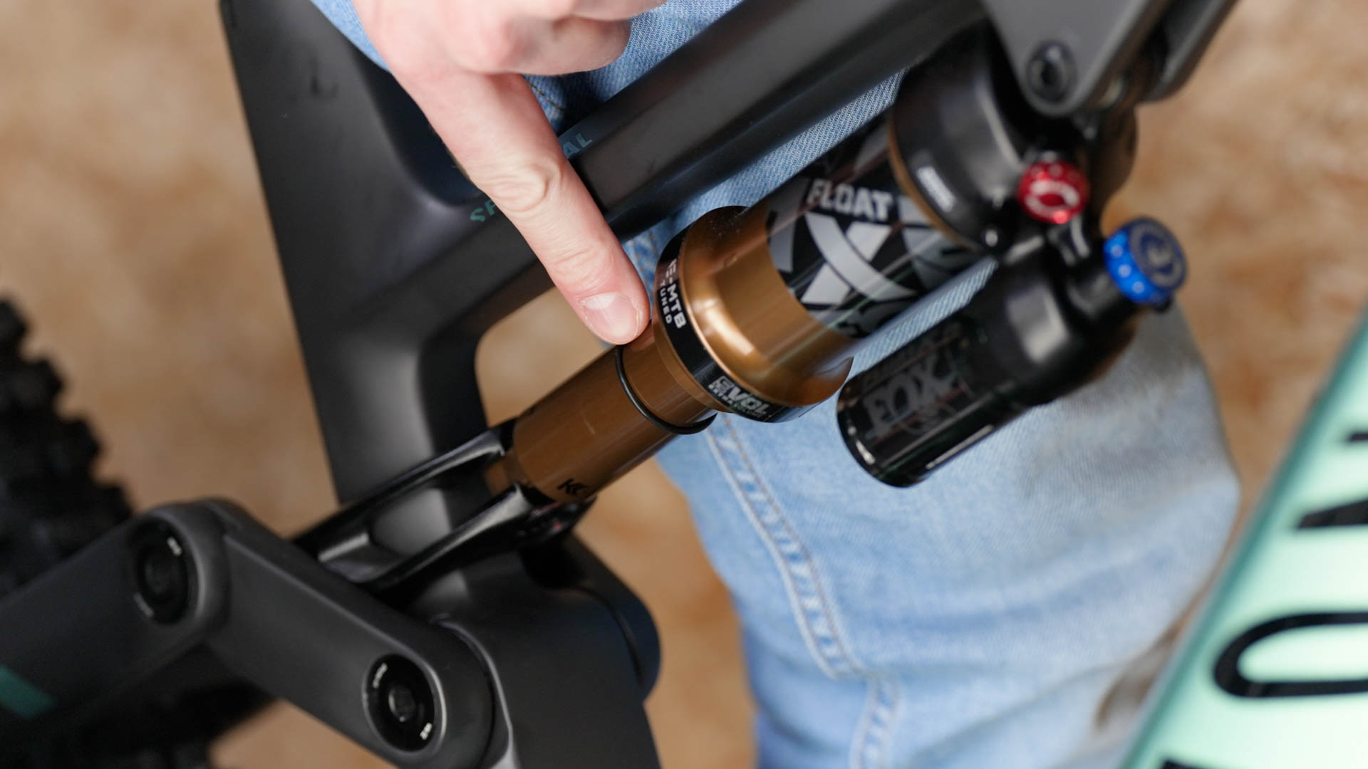 SpectralON support CANYON CZ