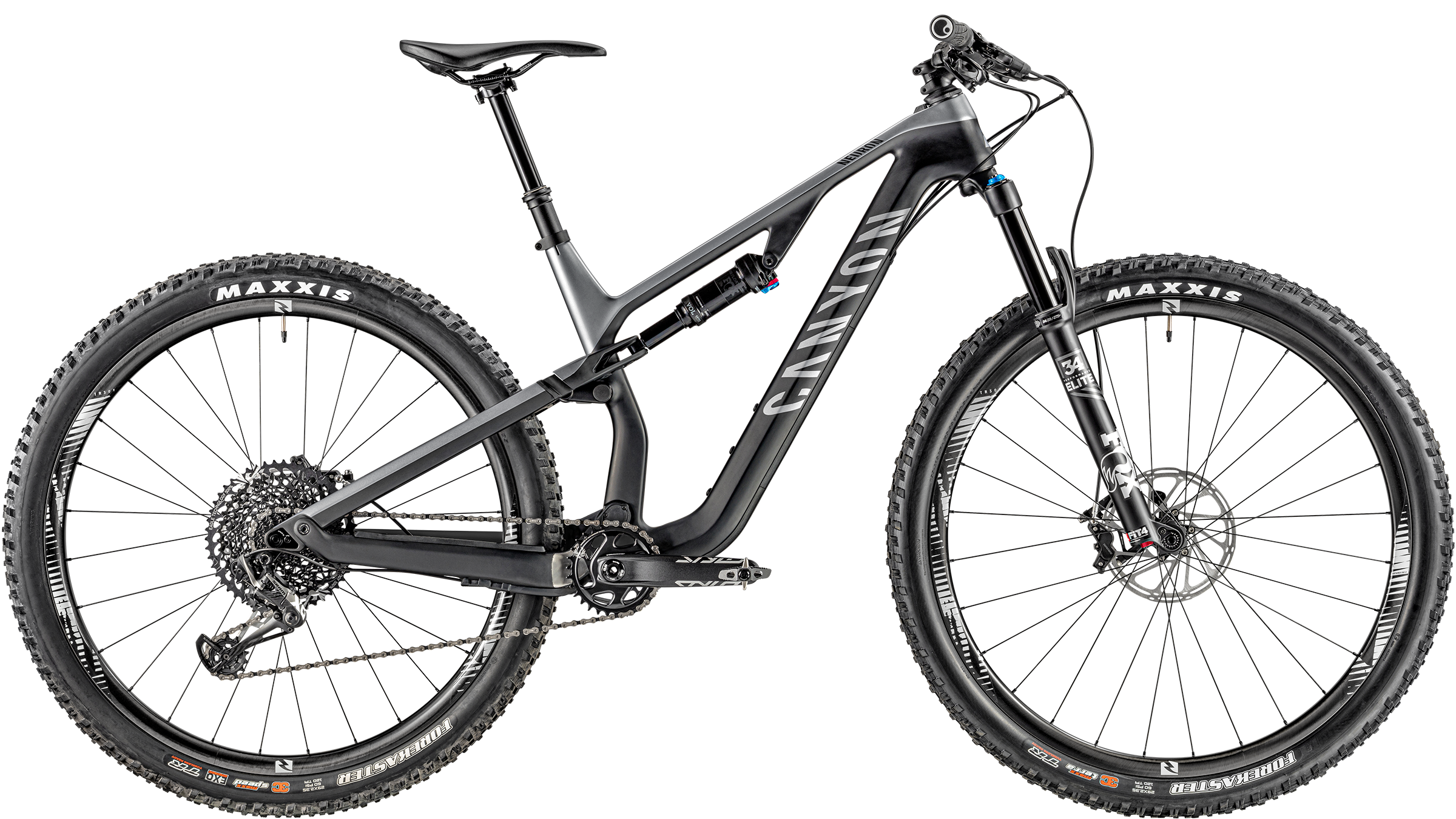 domane disc